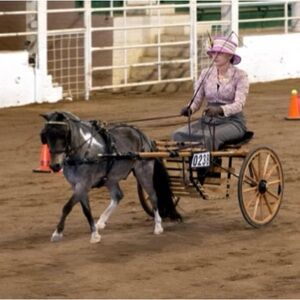 Meet your Posher, Susan